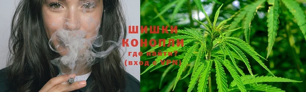 мяу мяу мука Майский