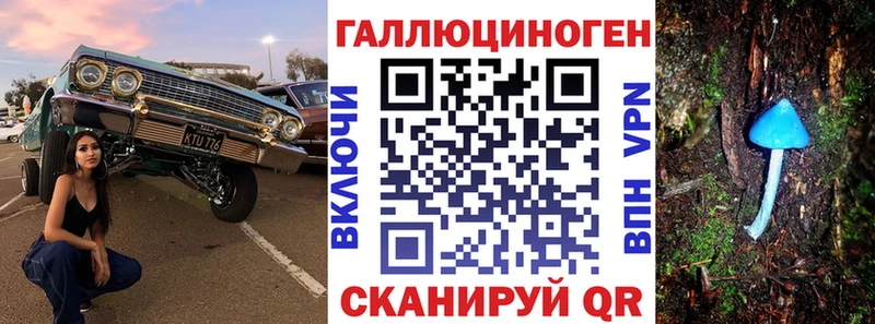 Псилоцибиновые грибы Psilocybe  Купить закладки  Ярославль 